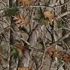 Polaris Ranger Vista G1 Deluxe Double Bow Case By Classic Accessories -Multifunctional Accessories Store 4QuuwISyIiT0utF28H6jJPfuAV9yBQSAQeD2bmoh9MrJVm11WW6kNhcRmYNX79IA 12913.1718665429