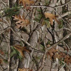 Polaris Ranger 500 Camo Cab Enclosure By Classic Accessories -Multifunctional Accessories Store ZUohVaz1g4N56sHFrhlIvWwFBDxYp6UkJ9cF4hOZh8YcUaKcoK66J6D4FQoywPGj 92180.1718666127