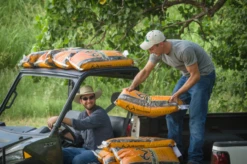 Polaris Ranger 570 / 900 / 1000 Lopro Level 1 Metal Roof By Fortress -Multifunctional Accessories Store screenshot 2021 06 01 151625 37658.1673624685